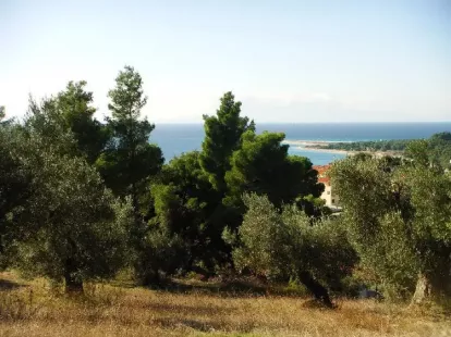 Земля, Греция, Халкидики, Кассандра, 300 000 € фото 10