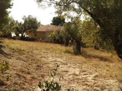 Земля, Греция, Халкидики, Кассандра, 300 000 € фото 5