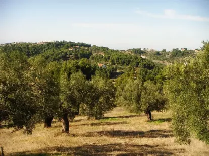 Земля, Греция, Халкидики, Кассандра, 300 000 € фото 6