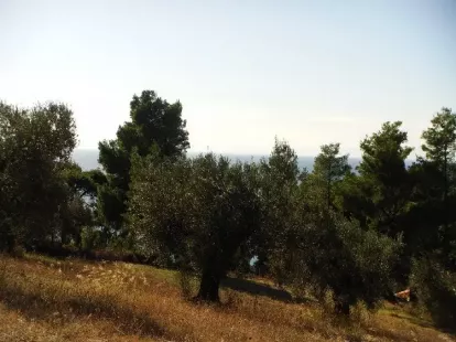 Земля, Греция, Халкидики, Кассандра, 300 000 € фото 8