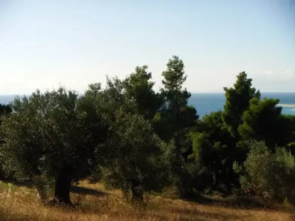 Земля, Греция, Халкидики, Кассандра, 300 000 € фото 9