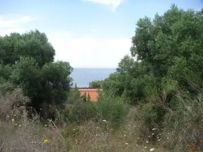 Земля, Греция, Халкидики, Кассандра, 230 000 € фото 4