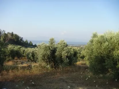 Земля, Греция, Халкидики, Кассандра, 360 000 € фото 10