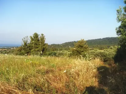 Земля, Греция, Халкидики, Кассандра, 360 000 € фото 11