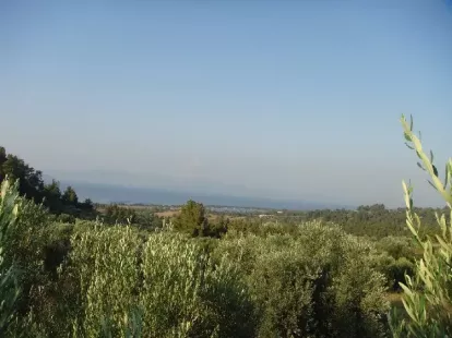 Земля, Греция, Халкидики, Кассандра, 360 000 € фото 2