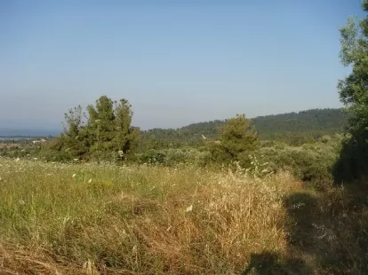 Земля, Греция, Халкидики, Кассандра, 360 000 € фото 4