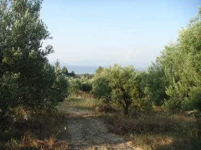 Земля, Греция, Халкидики, Кассандра, 360 000 € фото 8