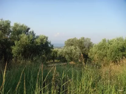 Земля, Греция, Халкидики, Кассандра, 360 000 € фото 9