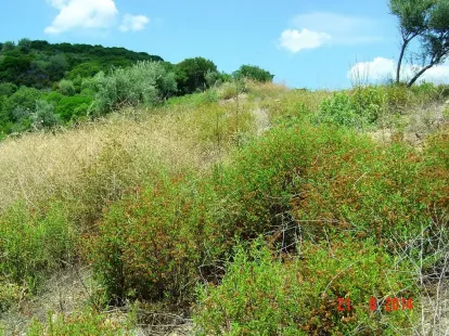 Земля, Греция, Халкидики, Ситония, 450 000 € фото 10