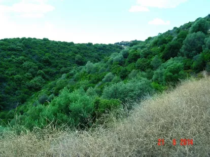 Земля, Греция, Халкидики, Ситония, 450 000 € фото 2