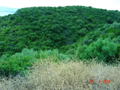 Земля, Греция, Халкидики, Ситония, 450 000 € фото 3