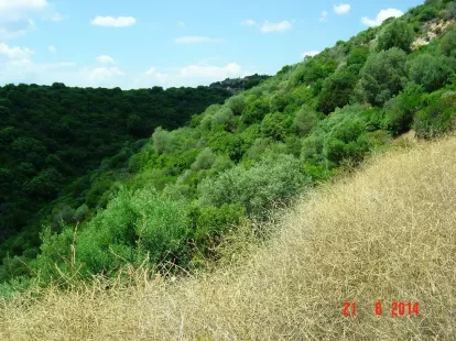 Земля, Греция, Халкидики, Ситония, 450 000 € фото 8