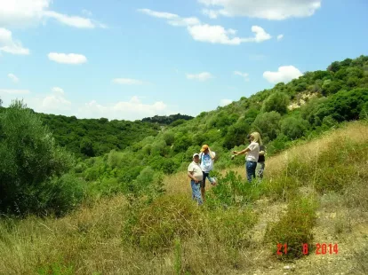 Земля, Греция, Халкидики, Ситония, 450 000 € фото 9