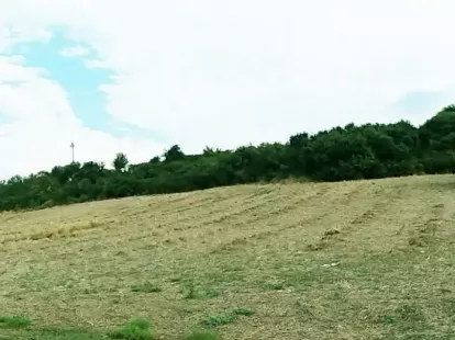 Земля, Греция, Халкидики, Ситония, 105 000 € фото 10