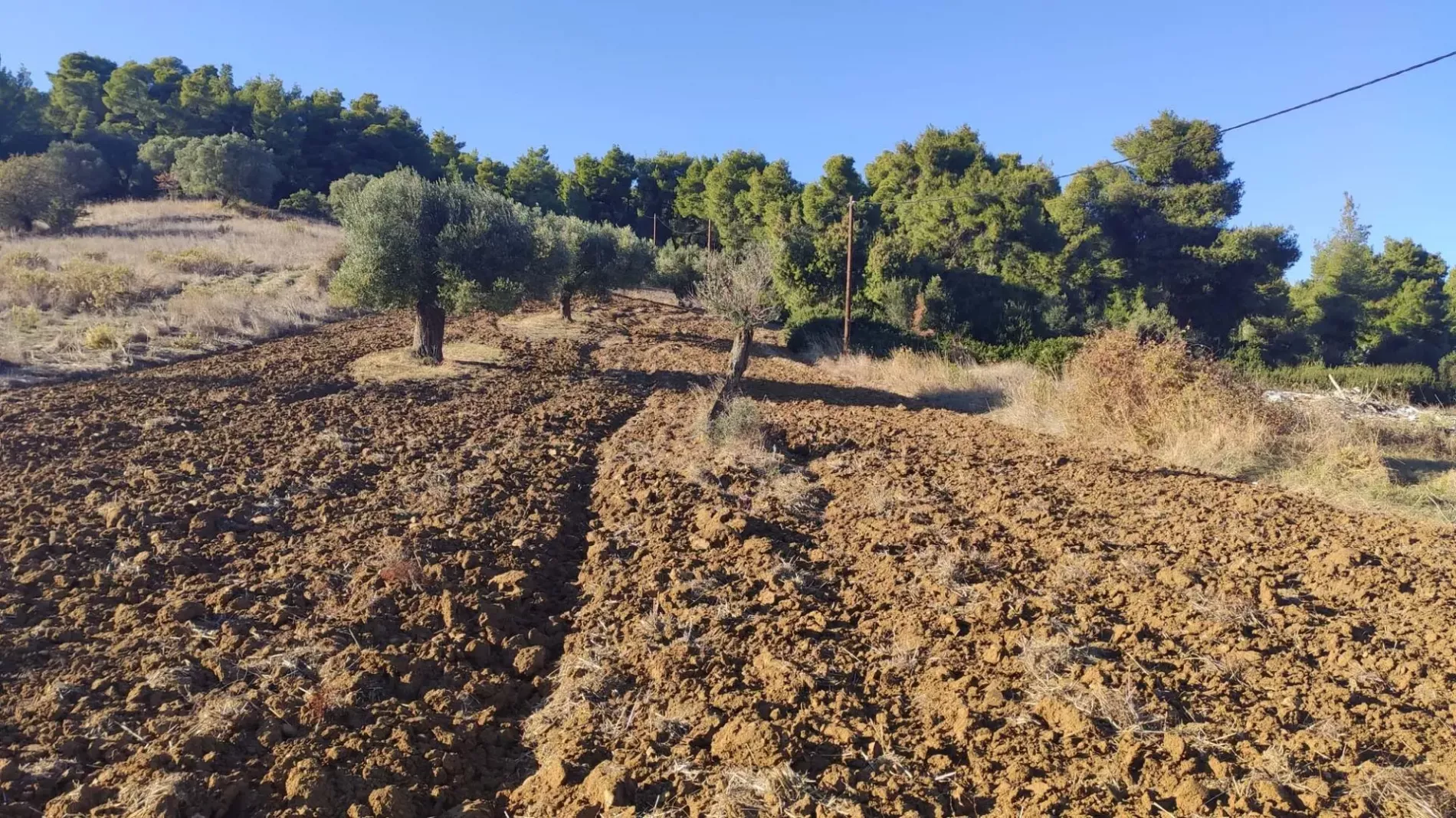 Земля, Греция, Халкидики, Кассандра, 320 000 € фото 11