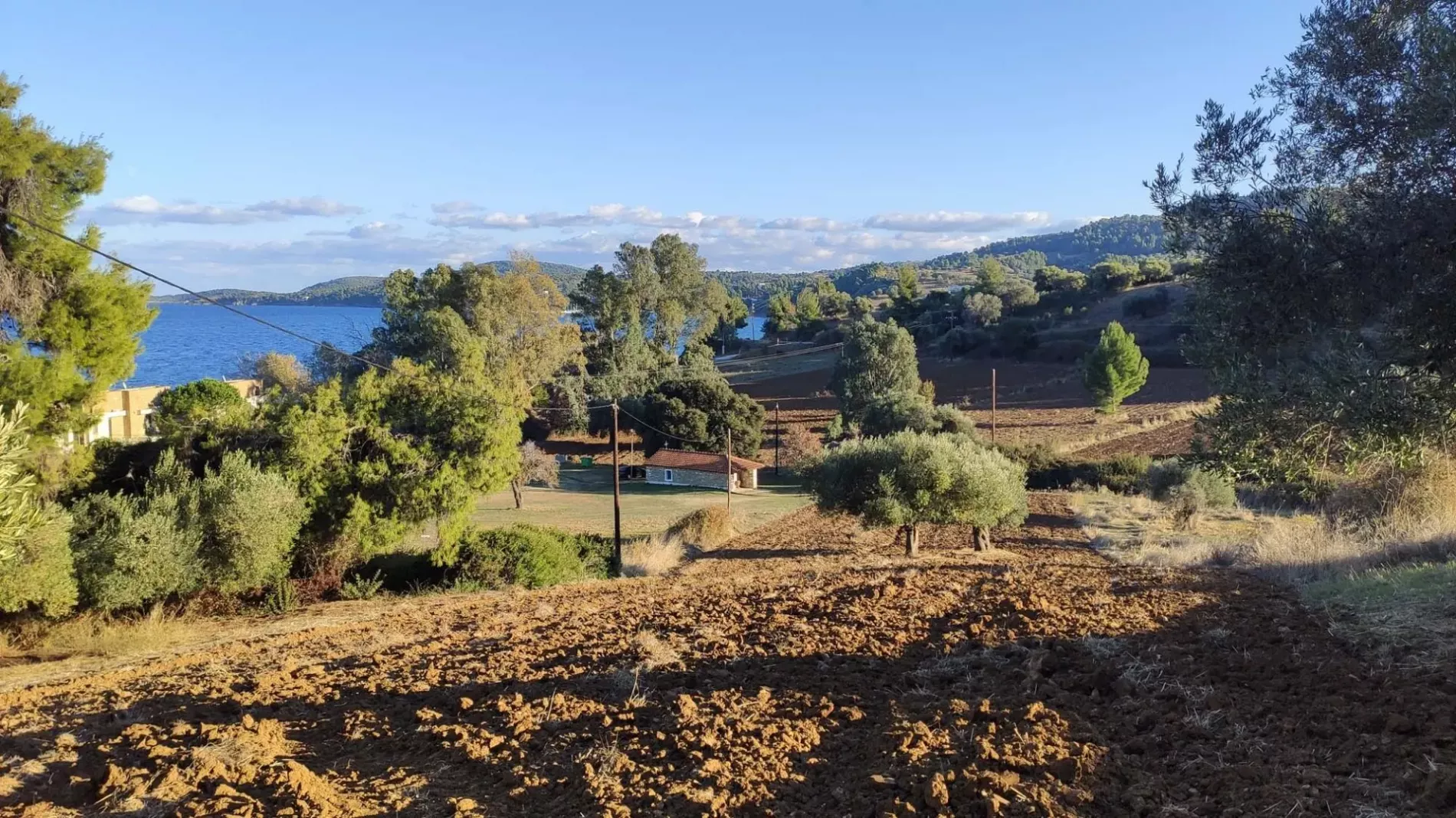 Земля, Греция, Халкидики, Кассандра, 320 000 € фото 13