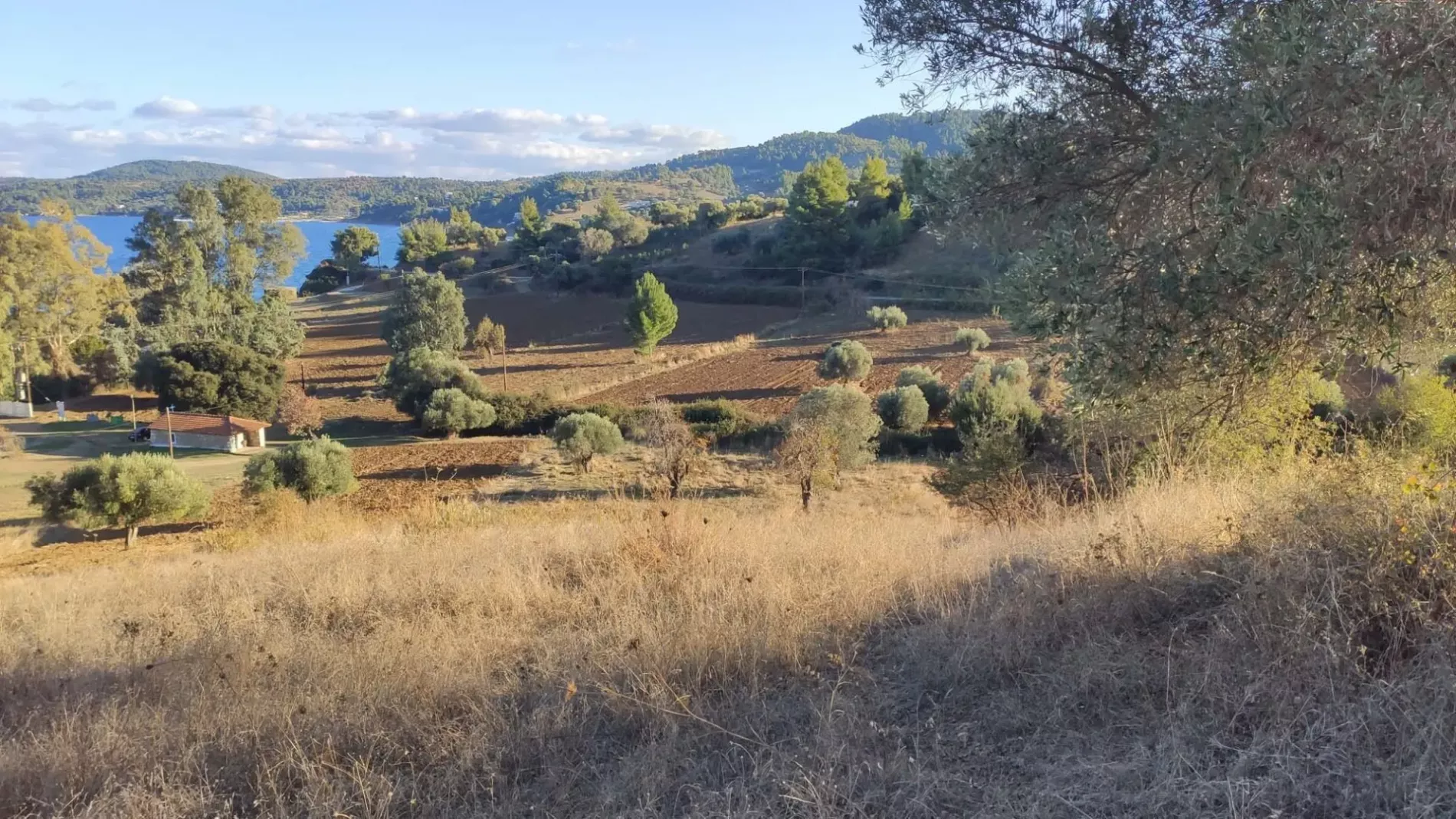 Земля, Греция, Халкидики, Кассандра, 320 000 € фото 14