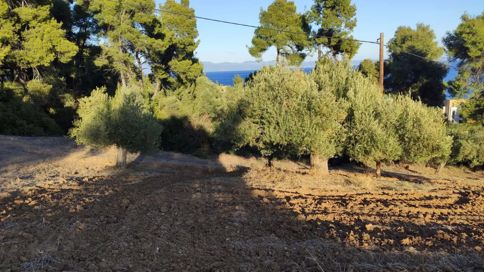 Земля, Греция, Халкидики, Кассандра, 320 000 € фото 4