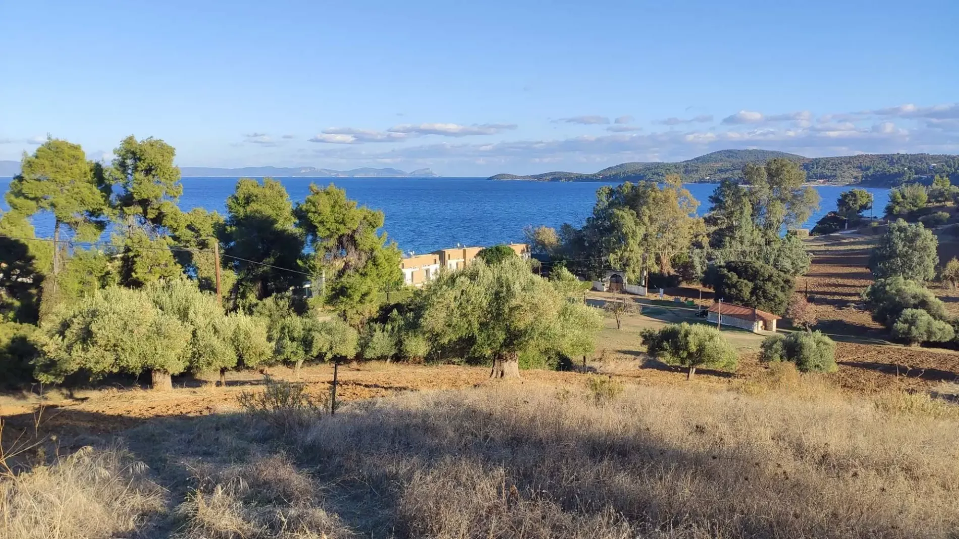 Земля, Греция, Халкидики, Кассандра, 320 000 € фото 8