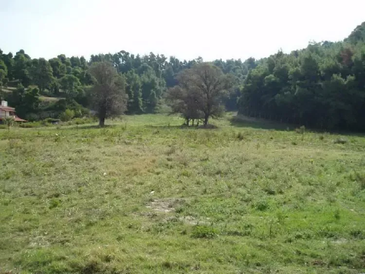 Земля, Греция, Халкидики, Кассандра, 2 500 000 € фото 2