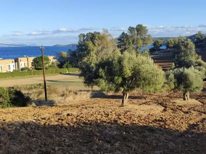 Земля, Греция, Халкидики, Кассандра, 320 000 € фото 10