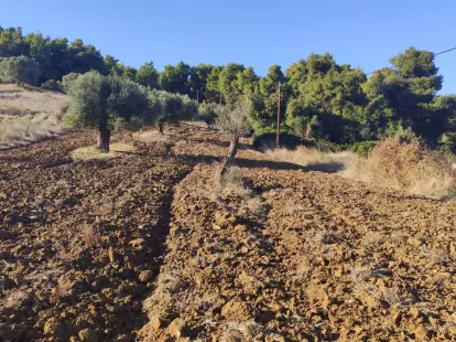 Земля, Греция, Халкидики, Кассандра, 320 000 € фото 11