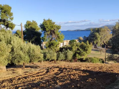 Земля, Греция, Халкидики, Кассандра, 320 000 € фото 12