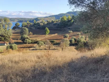 Земля, Греция, Халкидики, Кассандра, 320 000 € фото 14