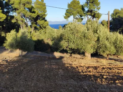 Земля, Греция, Халкидики, Кассандра, 320 000 € фото 4