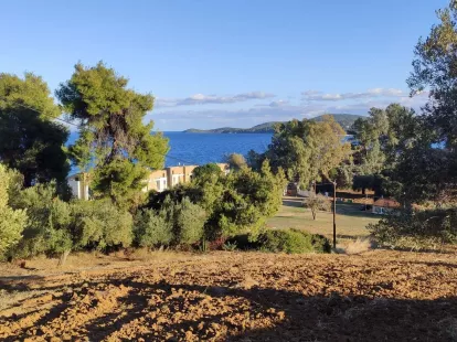 Земля, Греция, Халкидики, Кассандра, 320 000 € фото 6