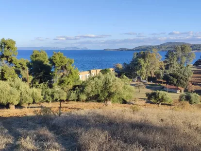 Земля, Греция, Халкидики, Кассандра, 320 000 € фото 8