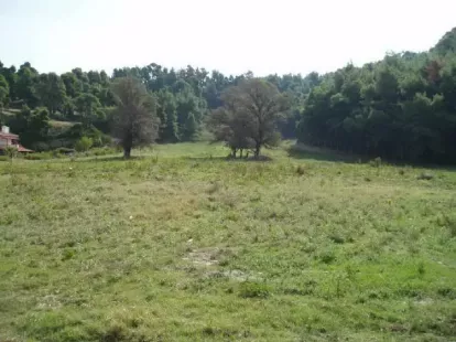 Земля, Греция, Халкидики, Кассандра, 2 500 000 € фото 2