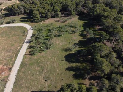 Земля, Греция, Пелопоннес, Лутраки, 25 000 € фото 2