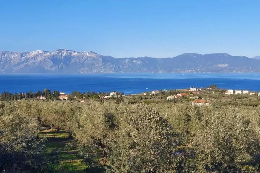 Дом / Вилла, Греция, Пелопоннес, 300 000 € фото 4