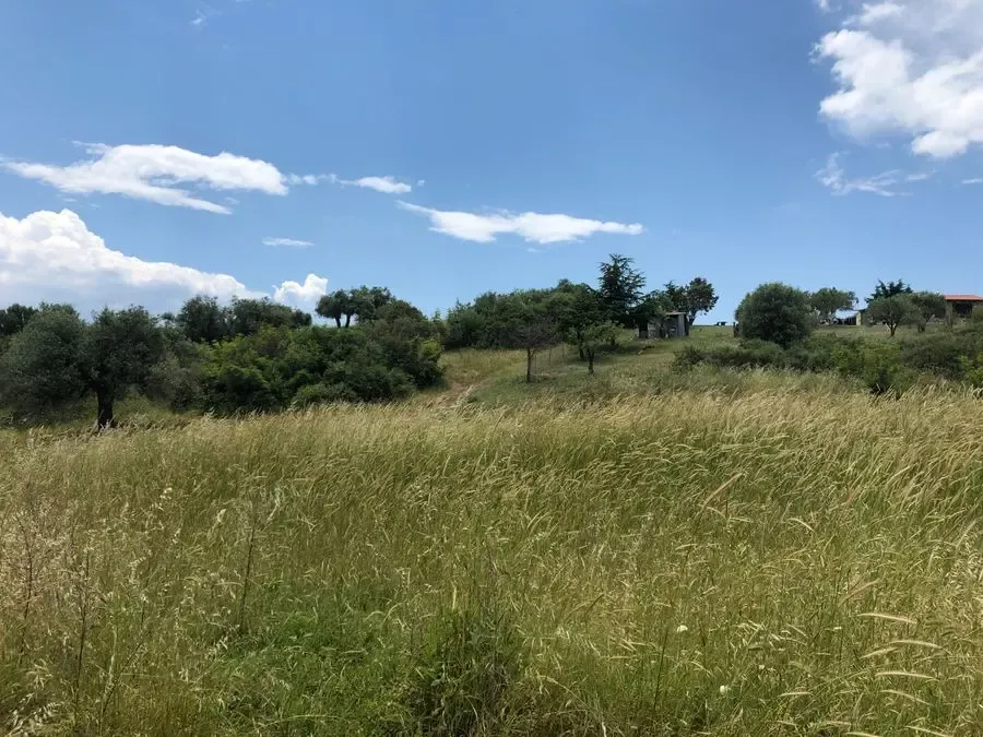 Земля, Греция, Халкидики, Ситония, 400 000 € фото 1