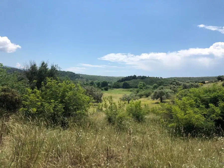 Земля, Греция, Халкидики, Ситония, 400 000 € фото 8