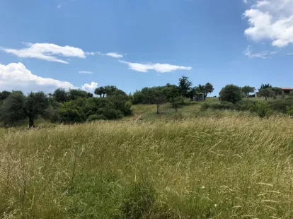 Участок на Ситонии, Греция за 400 000€ (ID:33303)