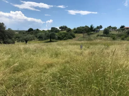 Земля, Греция, Халкидики, Ситония, 400 000 € фото 2