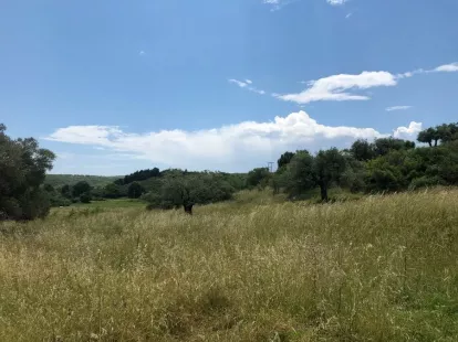 Земля, Греция, Халкидики, Ситония, 400 000 € фото 6