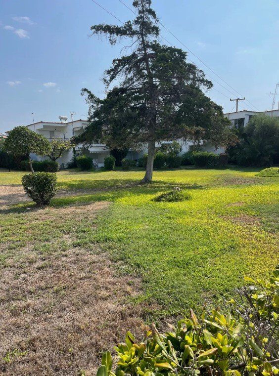 Дом / Коттедж, Греция, Халкидики, Ситония, 200 000 € фото 3