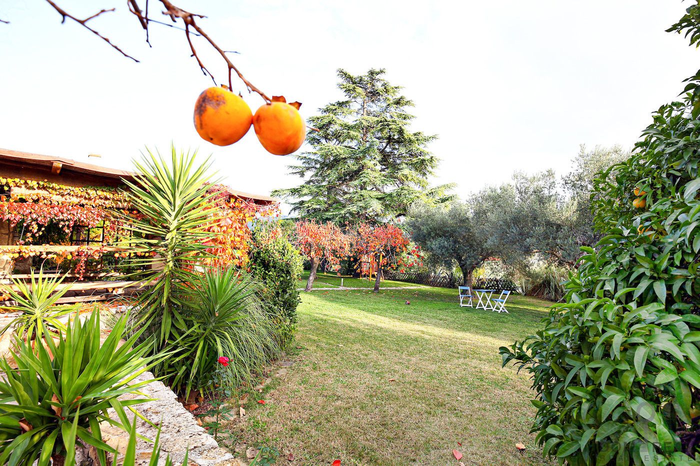 Дом, Словения, Регион Побережье, Пиран, 1 649 000 € фото 13