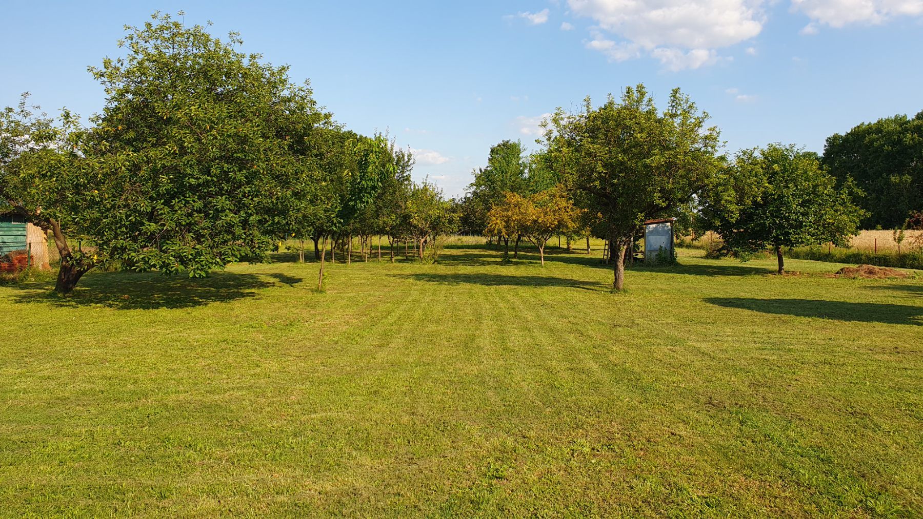 Дом / Коттедж, Черногория, О. Даниловград, Даниловград, 165 000 € фото 2