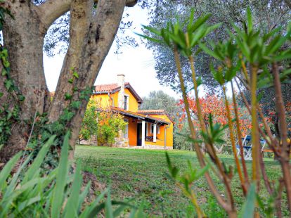 Дом в Пиране, Словения за 1 649 000€ (ID:79608)