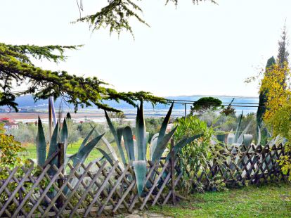 Дом, Словения, Регион Побережье, Пиран, 1 649 000 € фото 5