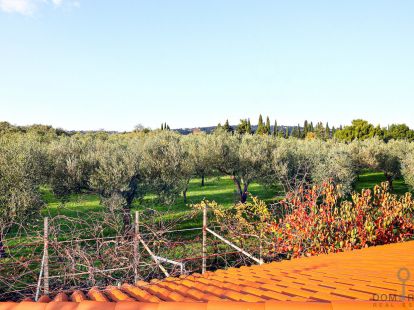 Дом, Словения, Регион Побережье, Пиран, 1 649 000 € фото 7