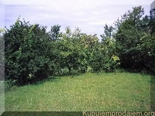 Дом / Коттедж, Черногория, О. Даниловград, Даниловград, 115 000 € фото 4