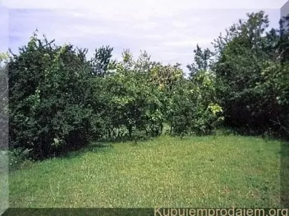 Дом / Коттедж, Черногория, О. Даниловград, Даниловград, 115 000 € фото 4