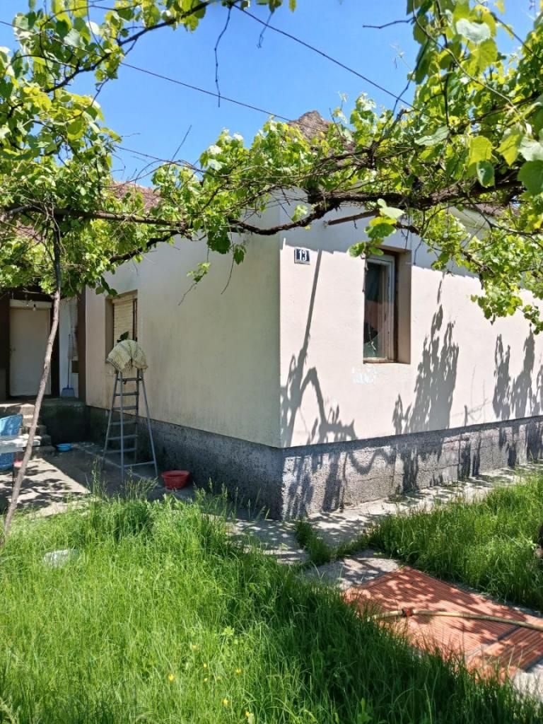 Дом / Коттедж, Черногория, О. Даниловград, Даниловград, 130 000 € фото 1