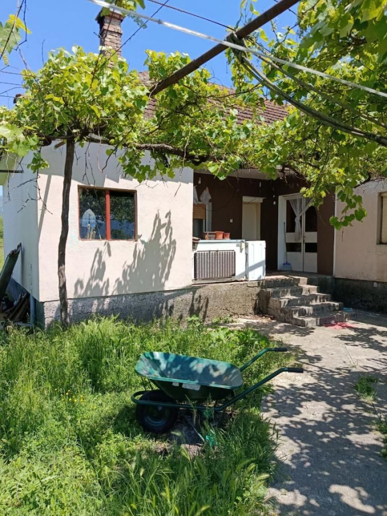 Дом / Коттедж, Черногория, О. Даниловград, Даниловград, 130 000 € фото 3