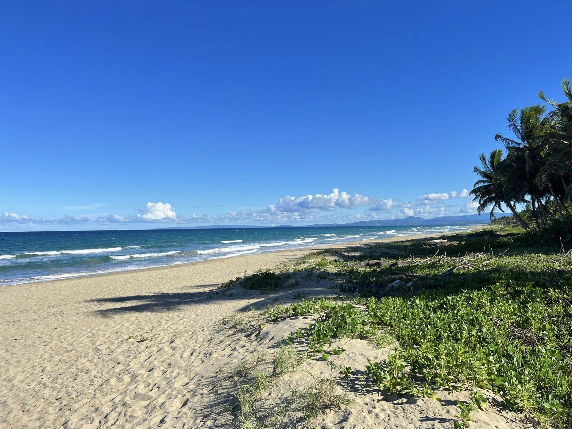 Апартаменты, Доминиканская республика, регион Пуэрто-Плата, Кабарете, 210 000 $ фото 2